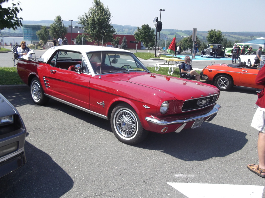 Activité 2023: Expo D'auto V8 Antique de Ste-Marie - 6 août 2023 DSCF9016