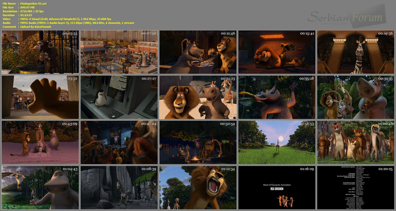 Madagaskar-01-avi.jpg