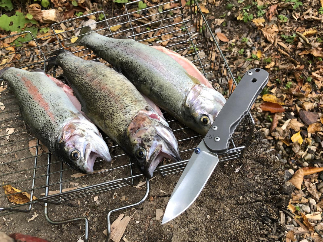 1ABDCE7E-65E8-4C2D-A448-89A7FE71E52E