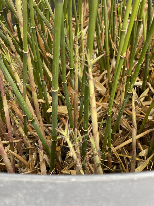 C0368F53-00F2-46AB-AF89-CBB1B74F0354