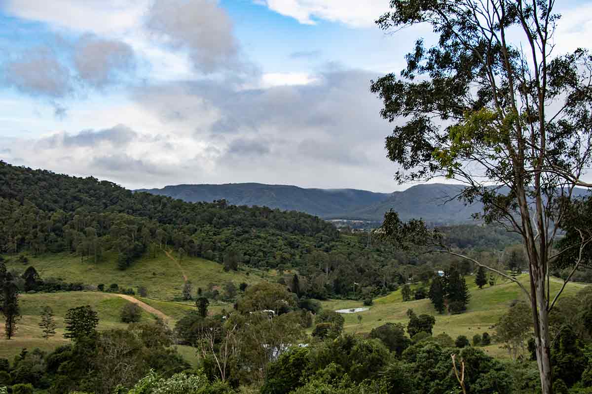 The Mary Valley