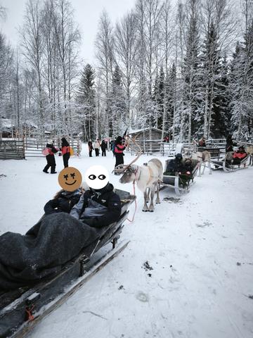 --DÍA 4 (2 diciembre): Tour Renos, Huskys y Moto de nieve - Rovaniemi 2025 (1)