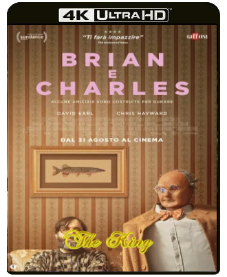 Brian e Charles (2022) WEB-DL 2160p x265 HDR DV E-AC3+AC3 ITA AC3 ENG