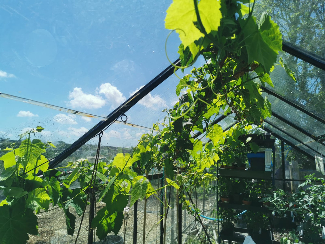 WhatsApp Image 2021-05-23 at 10.35.59 (1)