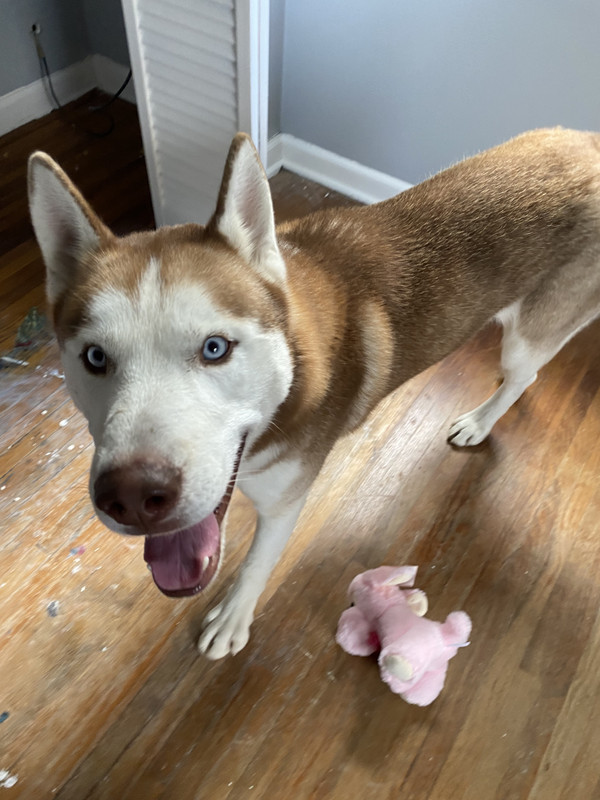 20F863B1-6FC9-47FF-8409-CFC01B16AC87