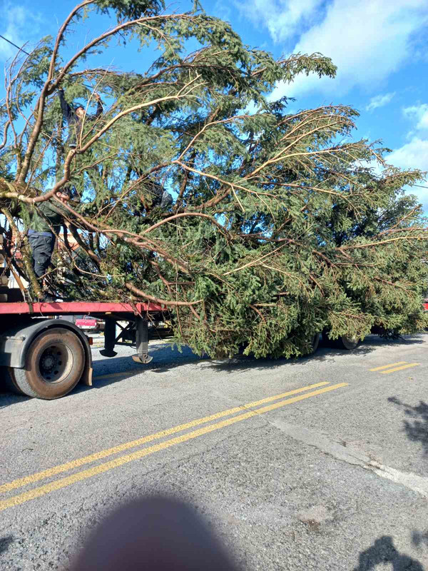 εικόνα_Viber_2024-11-23_14-27-20-425