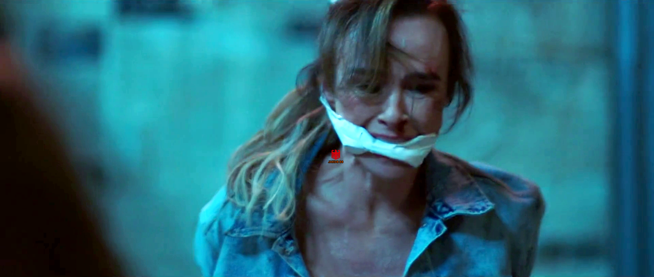 Danielle Harris 4 Bring The Law 2026