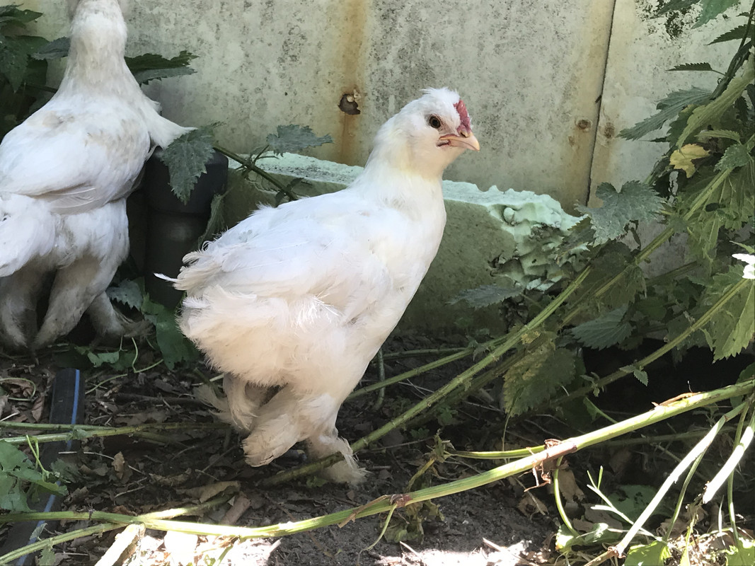 B0CC7A36-9B44-4F63-BC47-F2C40950441E