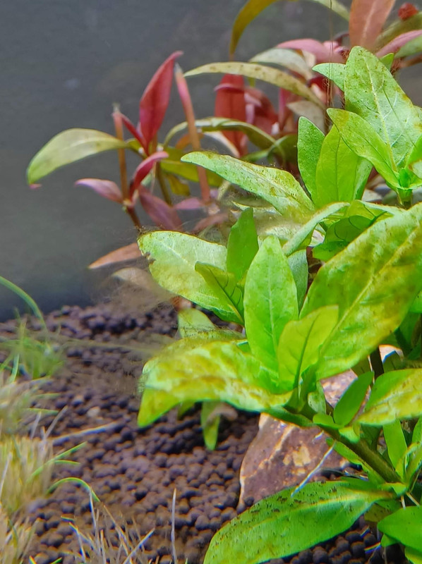 received_734415167792697