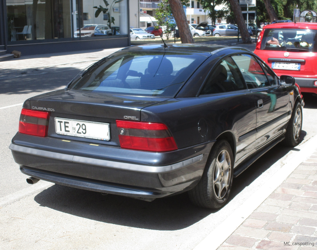IMG-8748.jpg