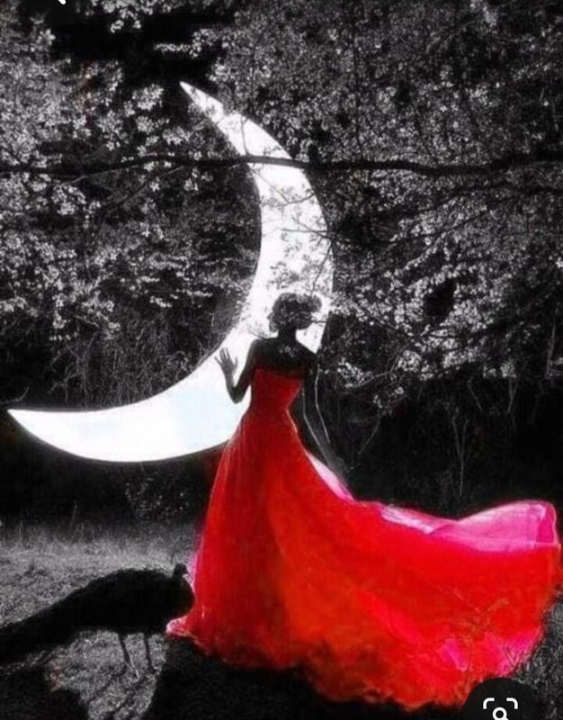 Screenshot_20230729_233105_Pinterest