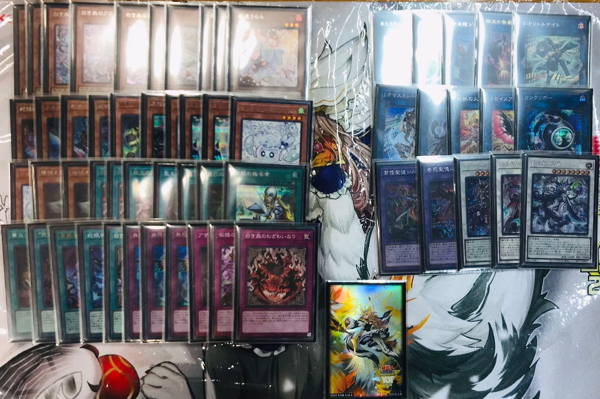 azamina white forest (5)