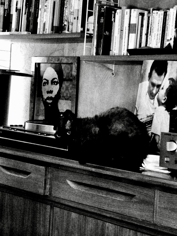 658F4DA4-4E7C-47E7-B36F-07BAAB4D8C63