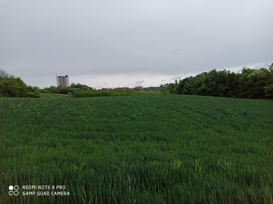 95331789_565206407442143_2601395488561299456_n (1)