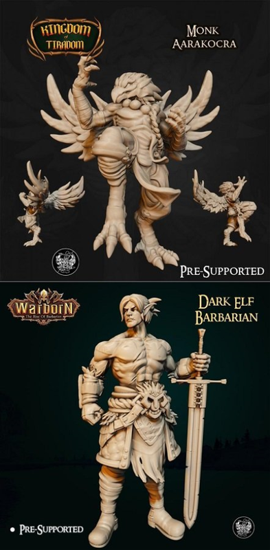 Bird Monk and Dark Elf Barbarian – 3D Print Model