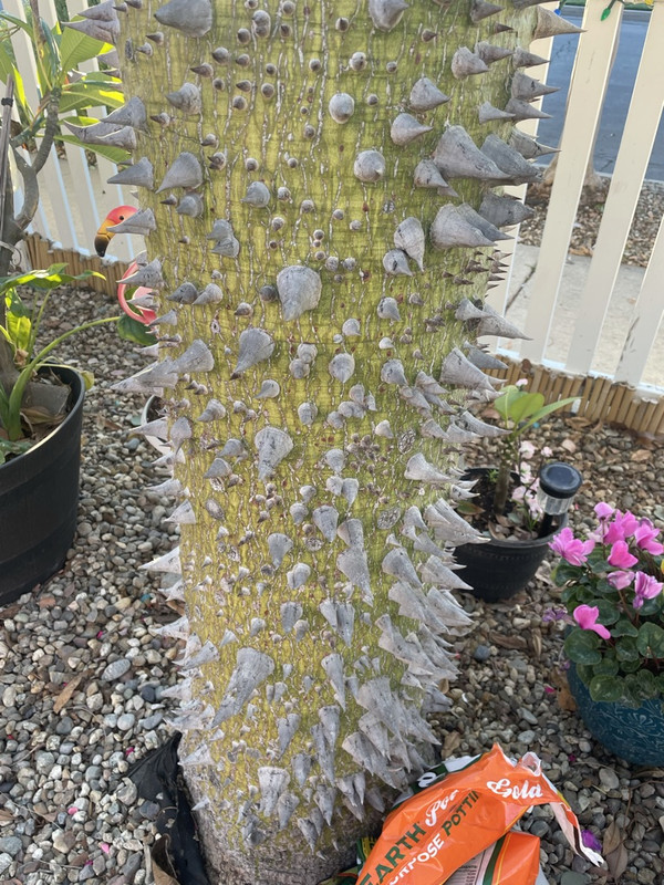 8B88AF46-818A-4A21-9549-92C17CC328D9_1_105_c