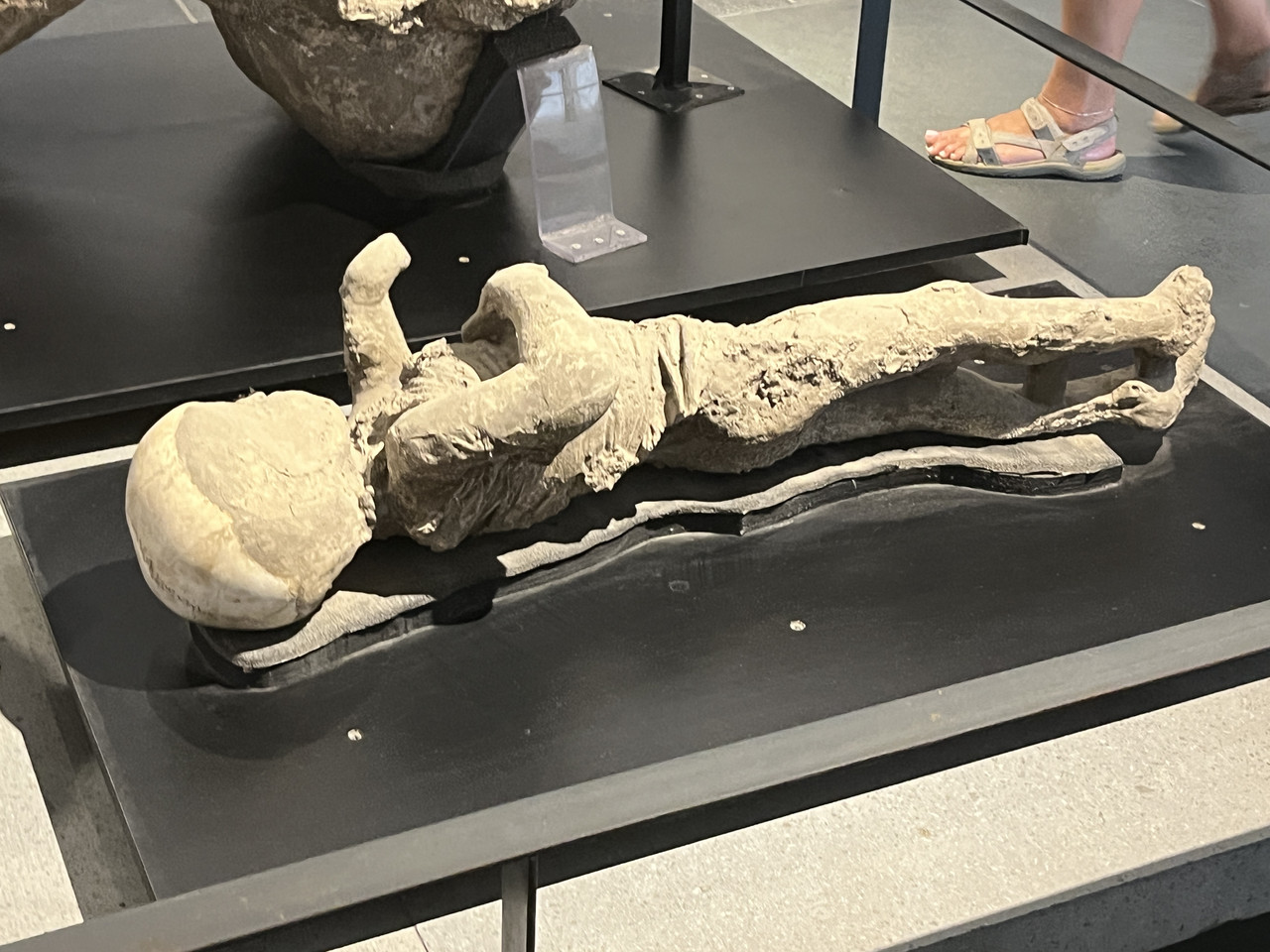 20230703 121421042 i OS