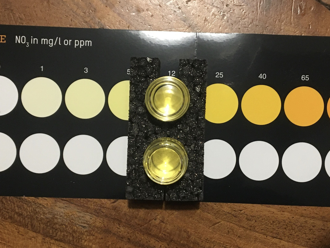 21FC4501-8A93-48D9-82D4-7FE9A0C12CAA