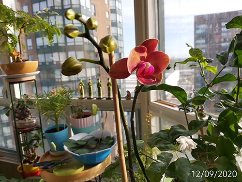 [Image: IMG-20200912-083359.jpg]