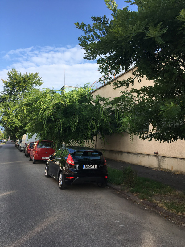 Kép