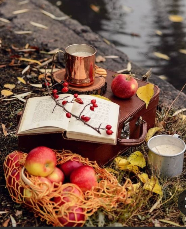 Screenshot_20231016_130120_Pinterest