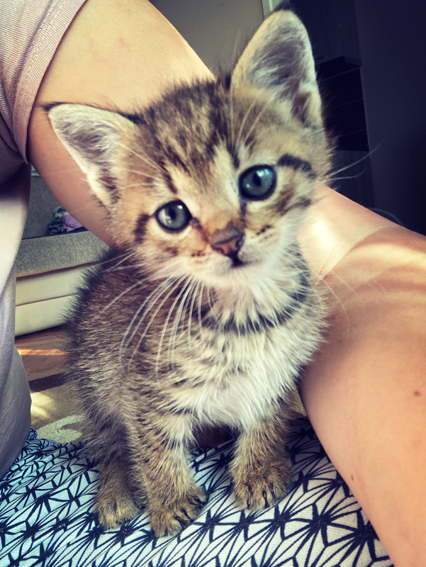 5242A442-B936-4650-9837-C79FB1499F9B