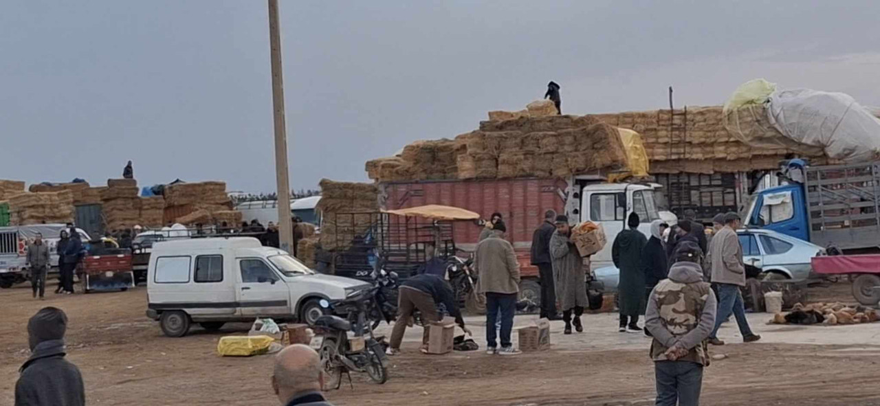 633265635-1440416644105499-7642447715052277900-n