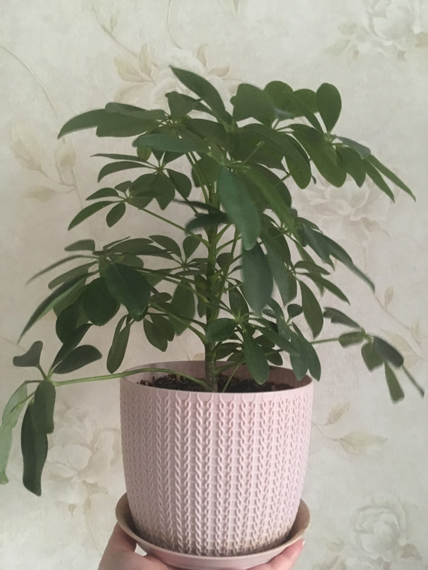 3D6E5C7B-BD1A-401E-97E3-B9CB5EF14A03