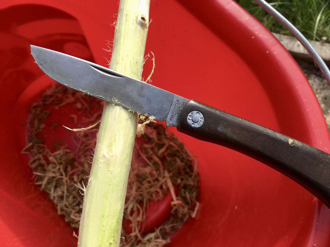 BE14C07D-9004-4C44-9508-C74745235BC8