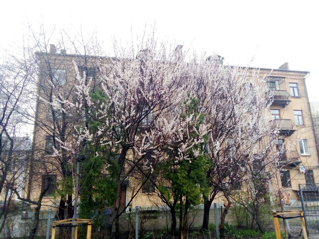 photo_2025-04-01 8.17.48 пп