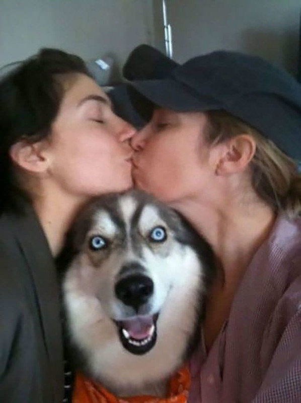 23 уморительных фотографии на которых неожиданно появилась собака