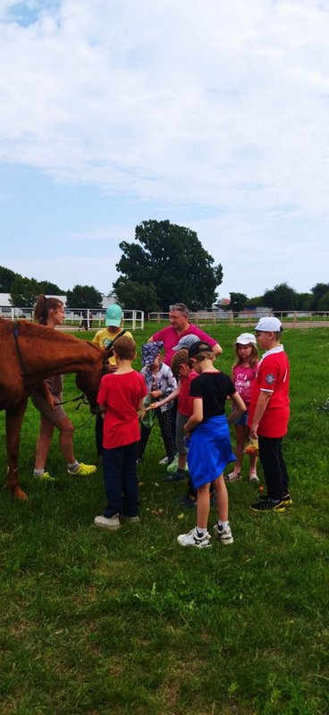 IMG-20230724-114934-632