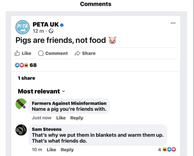screenshot-39.png