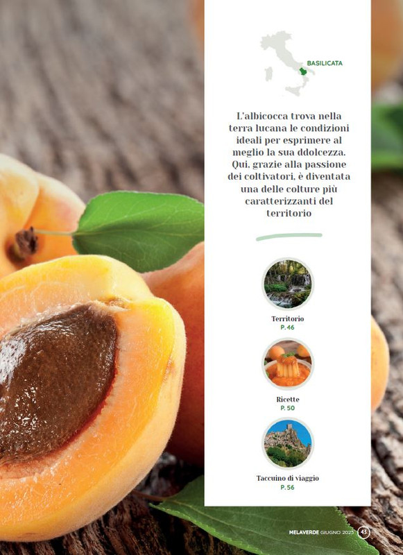 melaverde Giu 2023 (4)