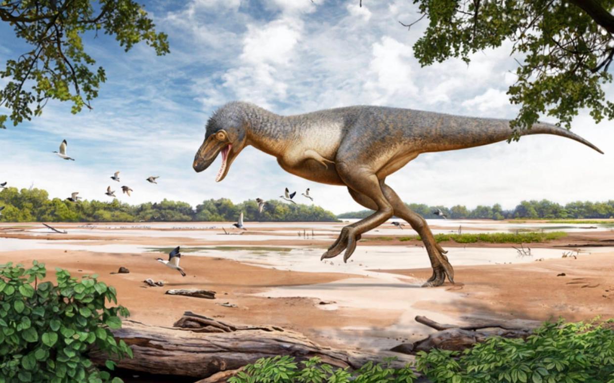 6c218ef39a98f70a93d72a135a91c799