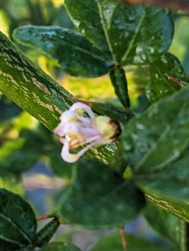 PXL_20231001_113433295