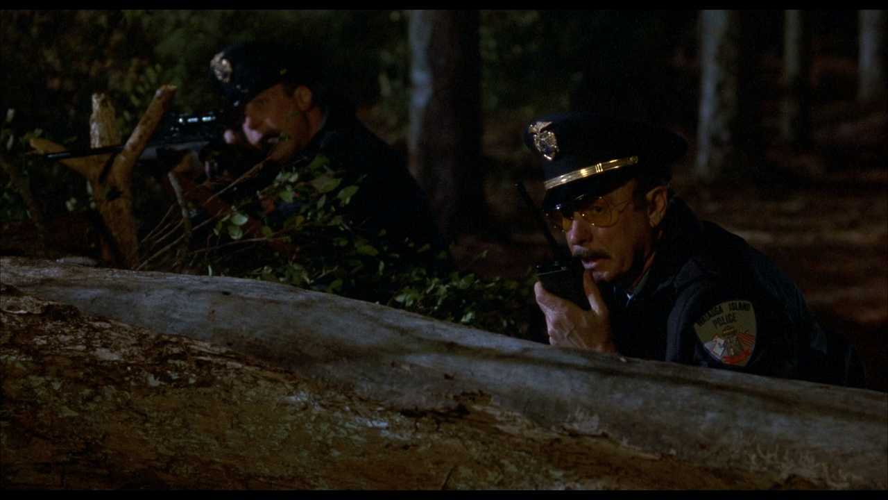 Amos & Andrew ( Эмос и Эндрю) 1993 mkv 20221119 234216 968 — Postimages