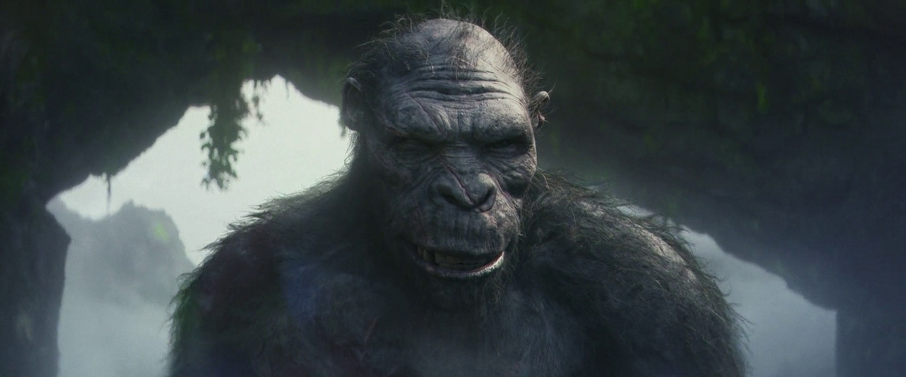 vlcsnap 2025 12 11 19h16m07s846