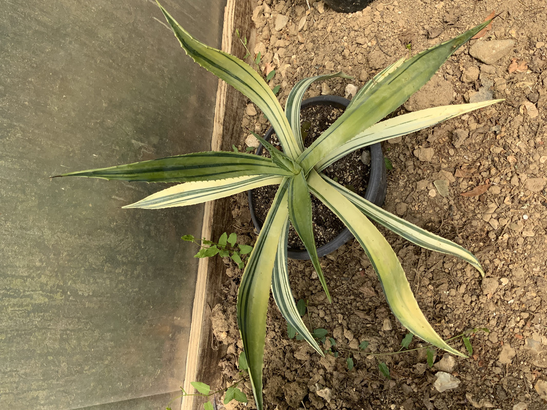 711A0CEE-06FF-4993-9886-43DBFC14BFAD