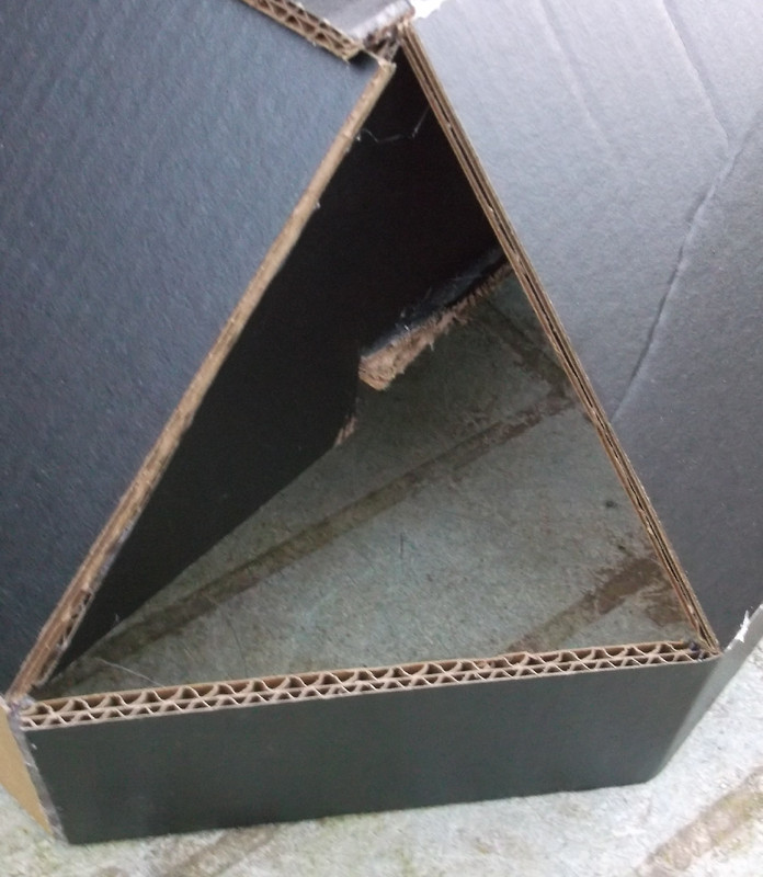 DSCF6235-sm.jpg