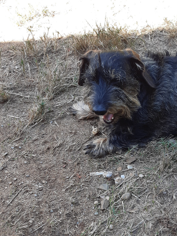 [Image: 20250301-161323.jpg]