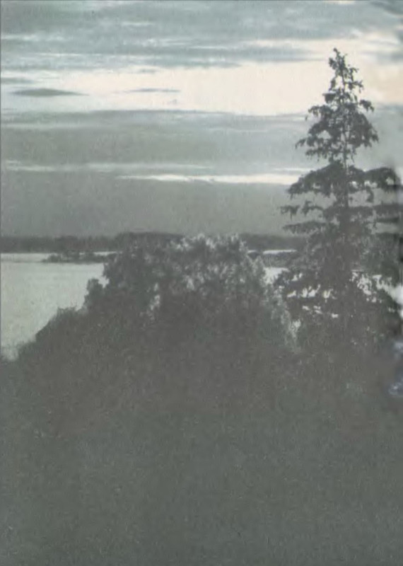 p0002