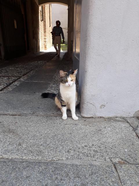 20190612-124039.jpg