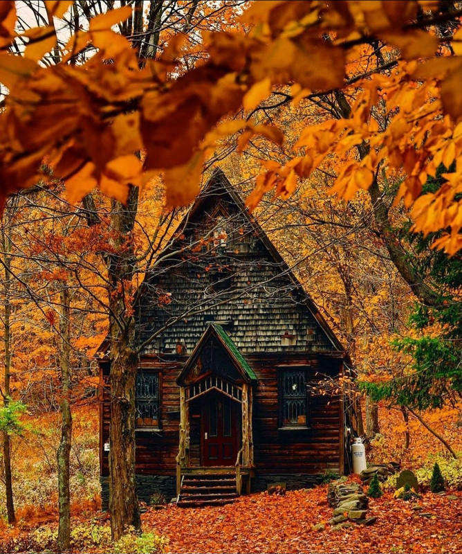 Screenshot_20231206_222233_Instagram