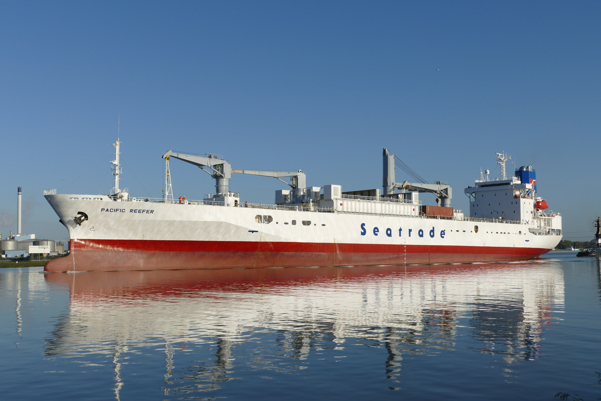 Pacific Reefer (OK-121022-2)