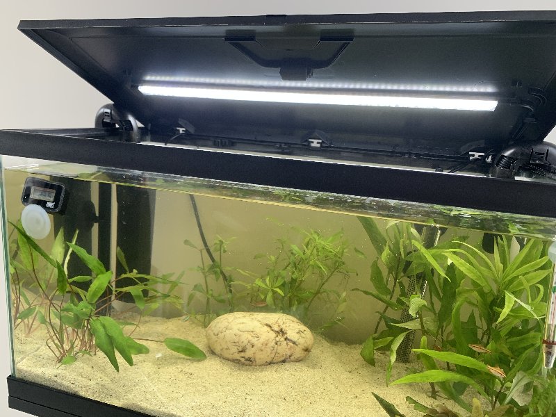 6F460077-9417-41FE-9952-6AB082600173