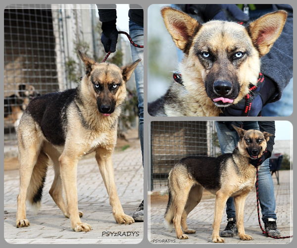 BeFunky-collage (15)