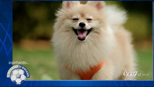 Altre regioni processo prob (7)