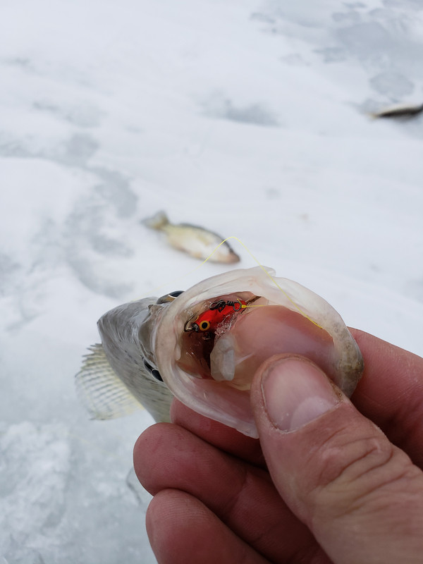 20190122_173231