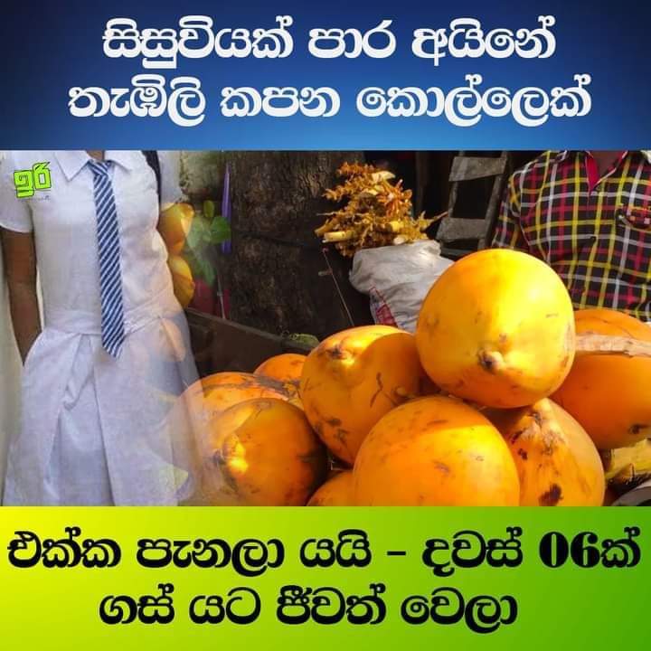 FB-IMG-1679306934022.jpg
